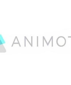 Animoto