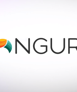 Zonguru- Group-Buy